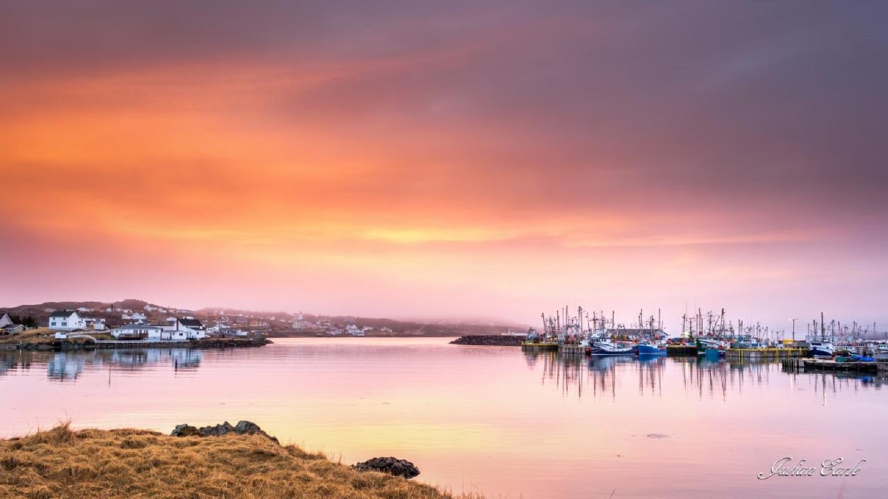Готель Twillingate & Beyond Inc. Екстер'єр фото